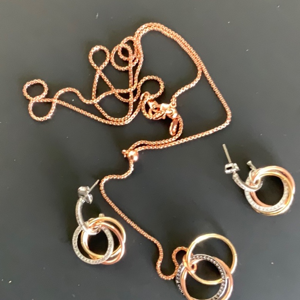 NWOT—Elegant Rose Gold and Silver Jewelry Set